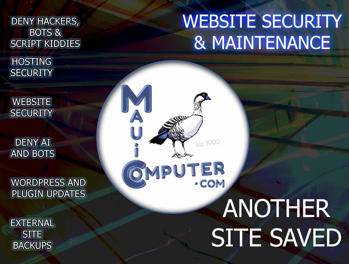 Maui Computer.com with listed services for site security